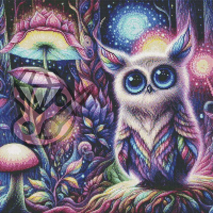 Rainbow Owl