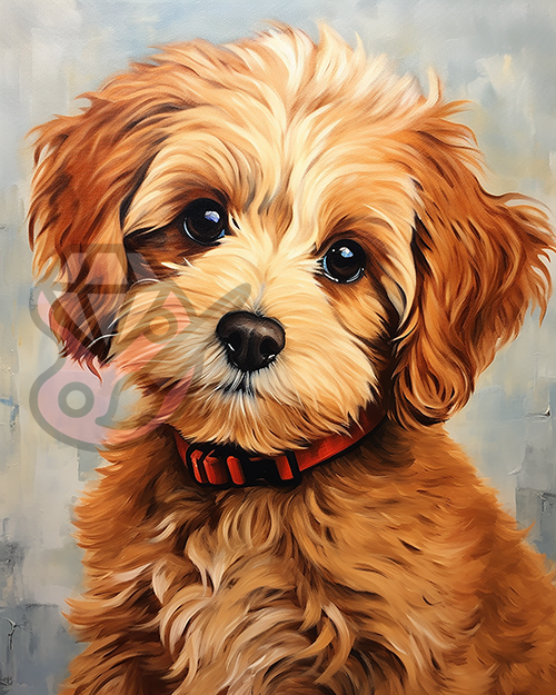 Boomer hondje portret