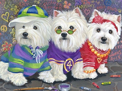 Westie dogs in clothes
