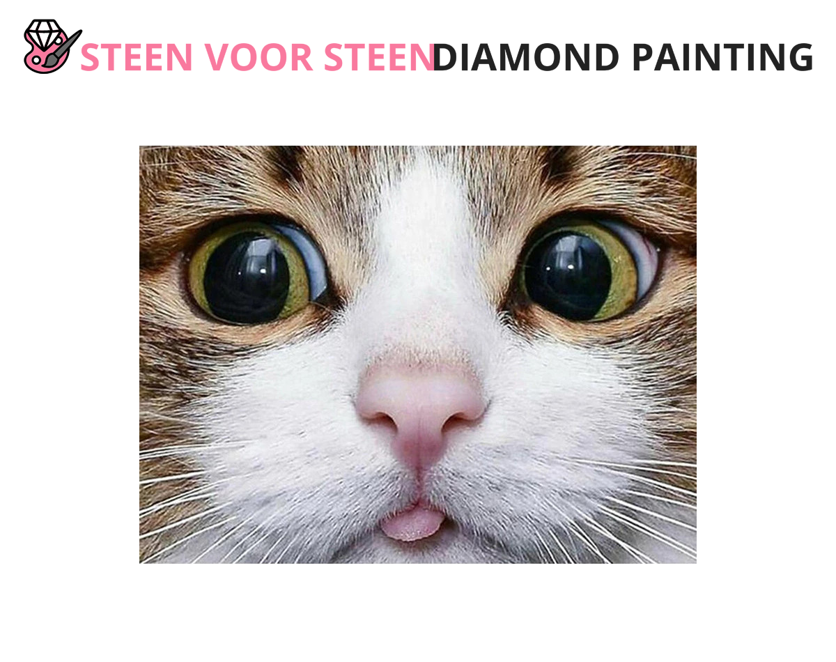 Diamond Painting - Cat Eyes 2 