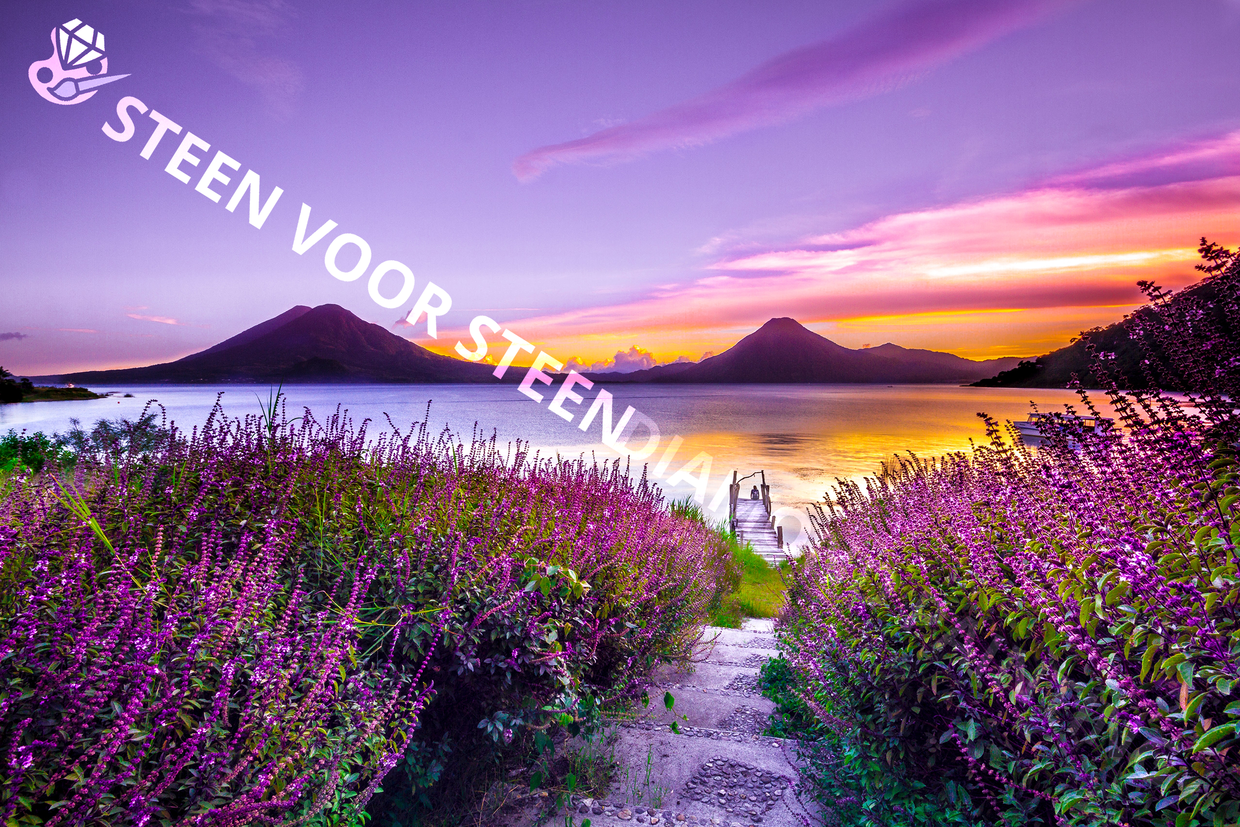 Landscape purple accent