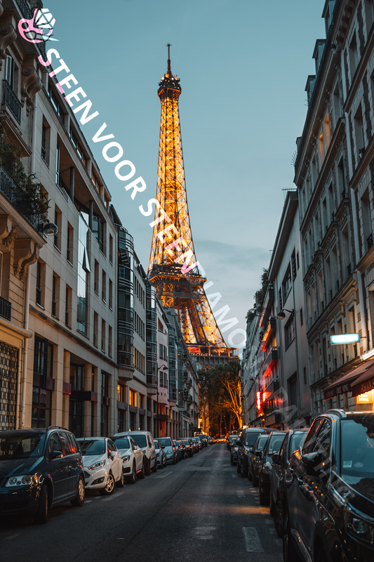 Paris Eiffel Tower street