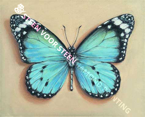 Blue Butterfly