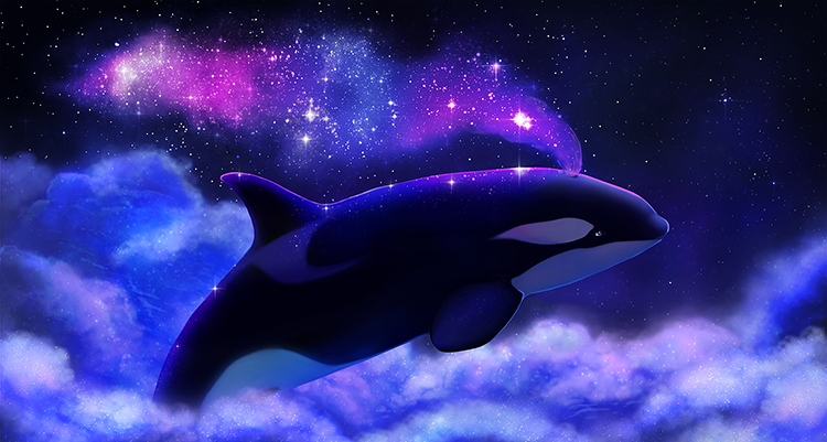 Sky Orca