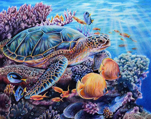 Turtle and fish near coral