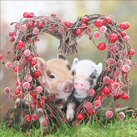 Piglets in heart
