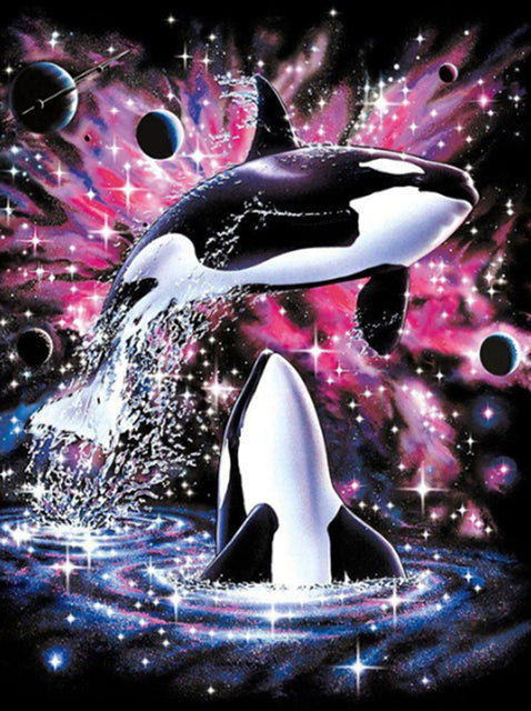 Galaxy Orca's