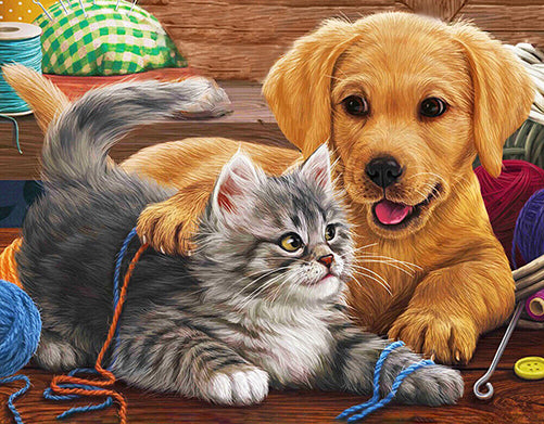 Puppy and kitten play with wool