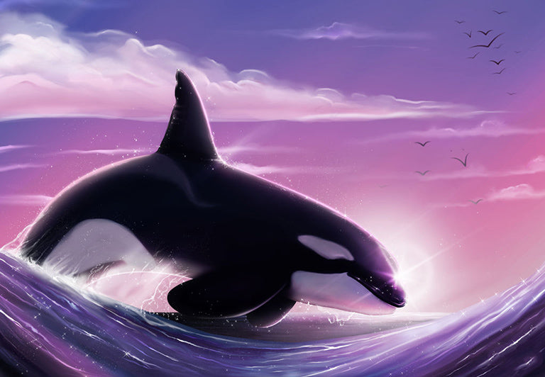 Orca bei Sonnenaufgang
