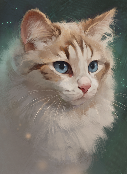 Cat portrait